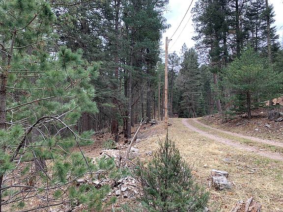 4th image of 48 Cowan Rd
