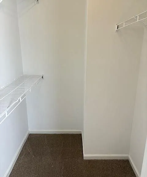 3917 Sterling Pointe Dr — Photo 14