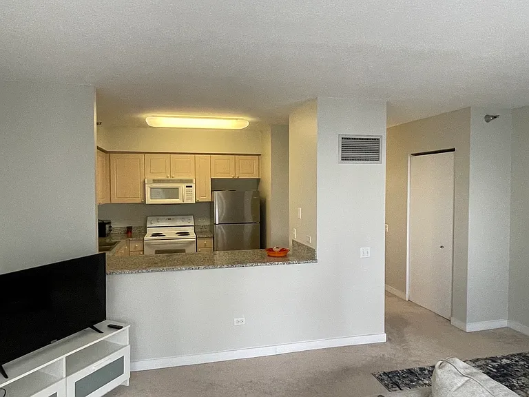 512 N McClurg Ct #3002 — Photo 16