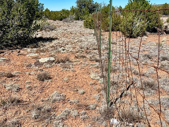 4th image of County Road 8307 Lot 100