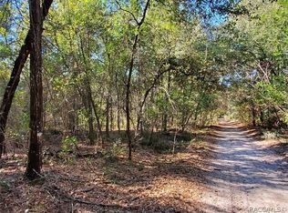 7252 W Contentment Ln, Dunnellon, FL 34433