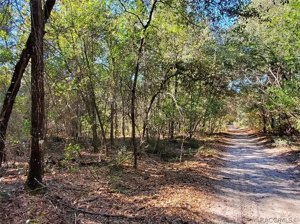 7252 W Contentment Ln, Dunnellon, FL 34433