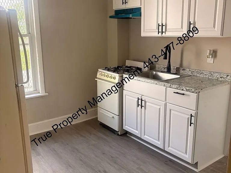 1513 Edmondson Ave — Photo 3