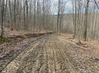 3356 Joe McMahon Rd, Angelica, NY 14709