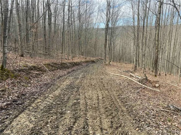 3356 Joe McMahon Rd, Angelica, NY 14709