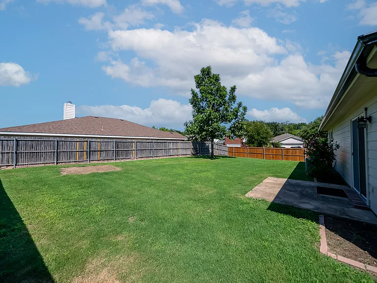 backyard. spots filled in