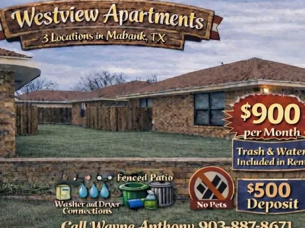 301 S Park Blvd, Mabank, TX 75147