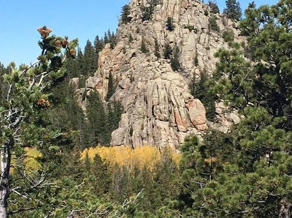 Wandering Ln, Red Feather Lakes, CO 80545