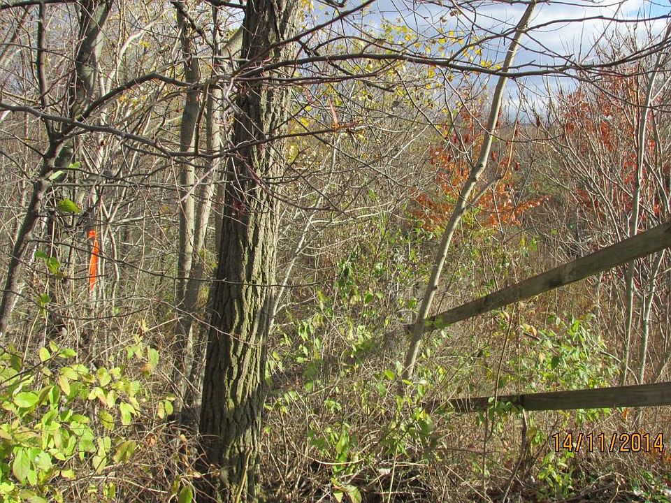 2nd image of Middle Rd