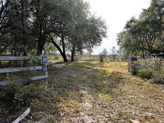 4th image of 4603 Spotted Horse Ln