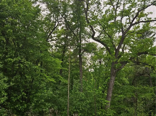 TBD 330th Avenue, Elmwood, WI 54740
