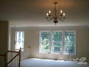 Great Room with plenty of windows