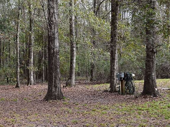2nd image of Tbd Deerwood Blvd
