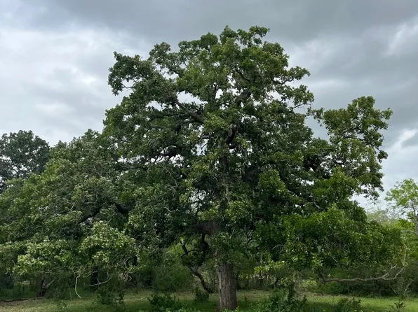 2725 County Road 421 LOT A0020, Stockdale, TX 78160
