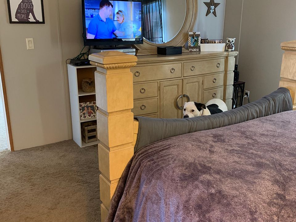 My bedroom/Master bedroom