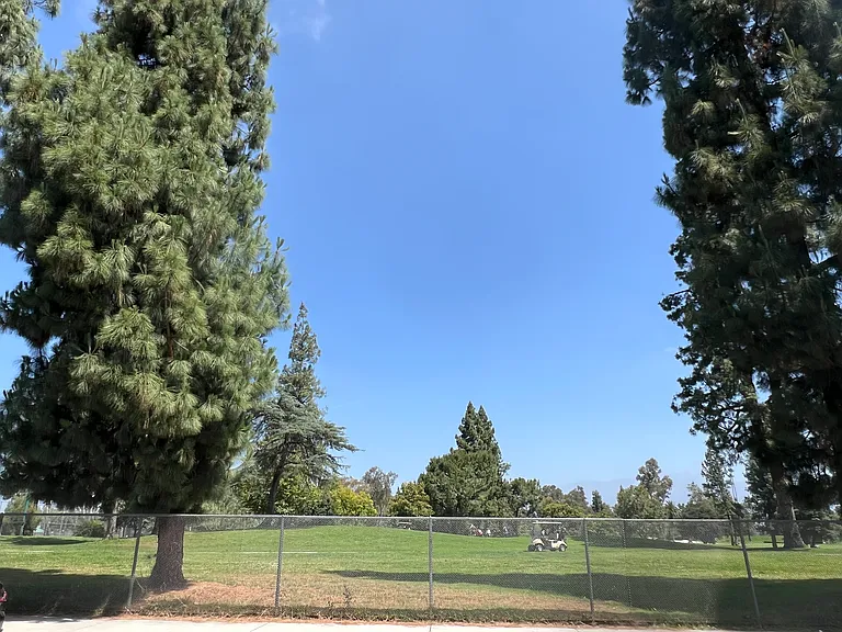 1115 S El Molino St — Photo 52