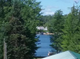 15441 Lakeview Dr, Wolverine, MI 49799