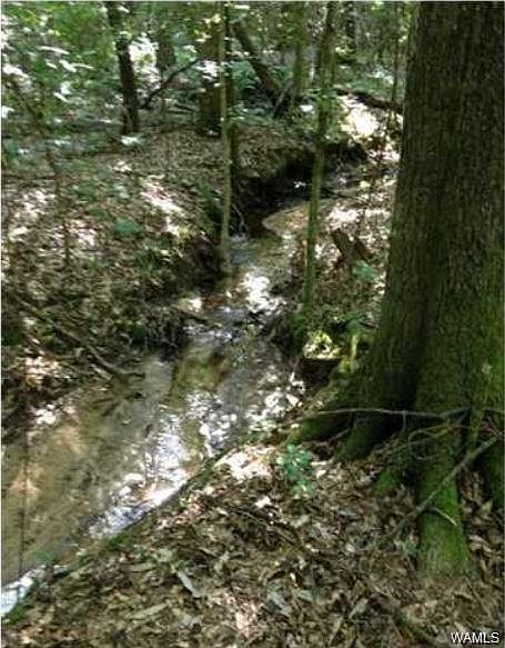 1st image of 3 Shore Lake Dr