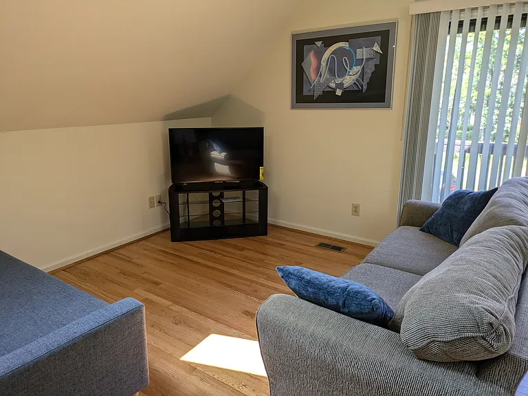 Great room -- 42" Fire TV, two couches