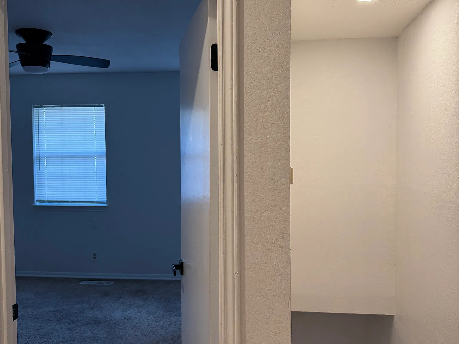 2 bed, 1.5 bath, 917 sqft, $1,800 — Photo 4