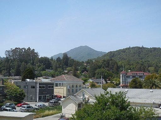 3rd image of 253 Camellia Cir #3