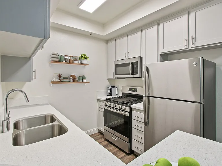 Palm Royale Apartments — Photo 12