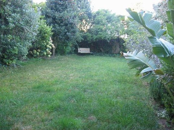 Back yard