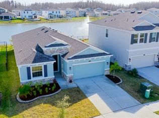8382 Bower Bass Cir, Wesley Chapel, FL 33545
