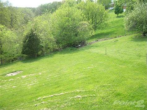 5th image of 313 Southern Dr