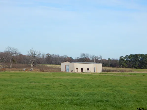 Elderberry Rd, Gilmer, TX 75644