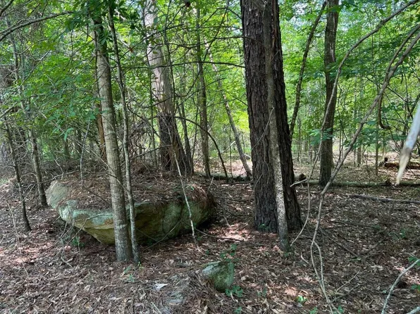 0 Crooked Creek Bay Rd, Eatonton, GA 31024