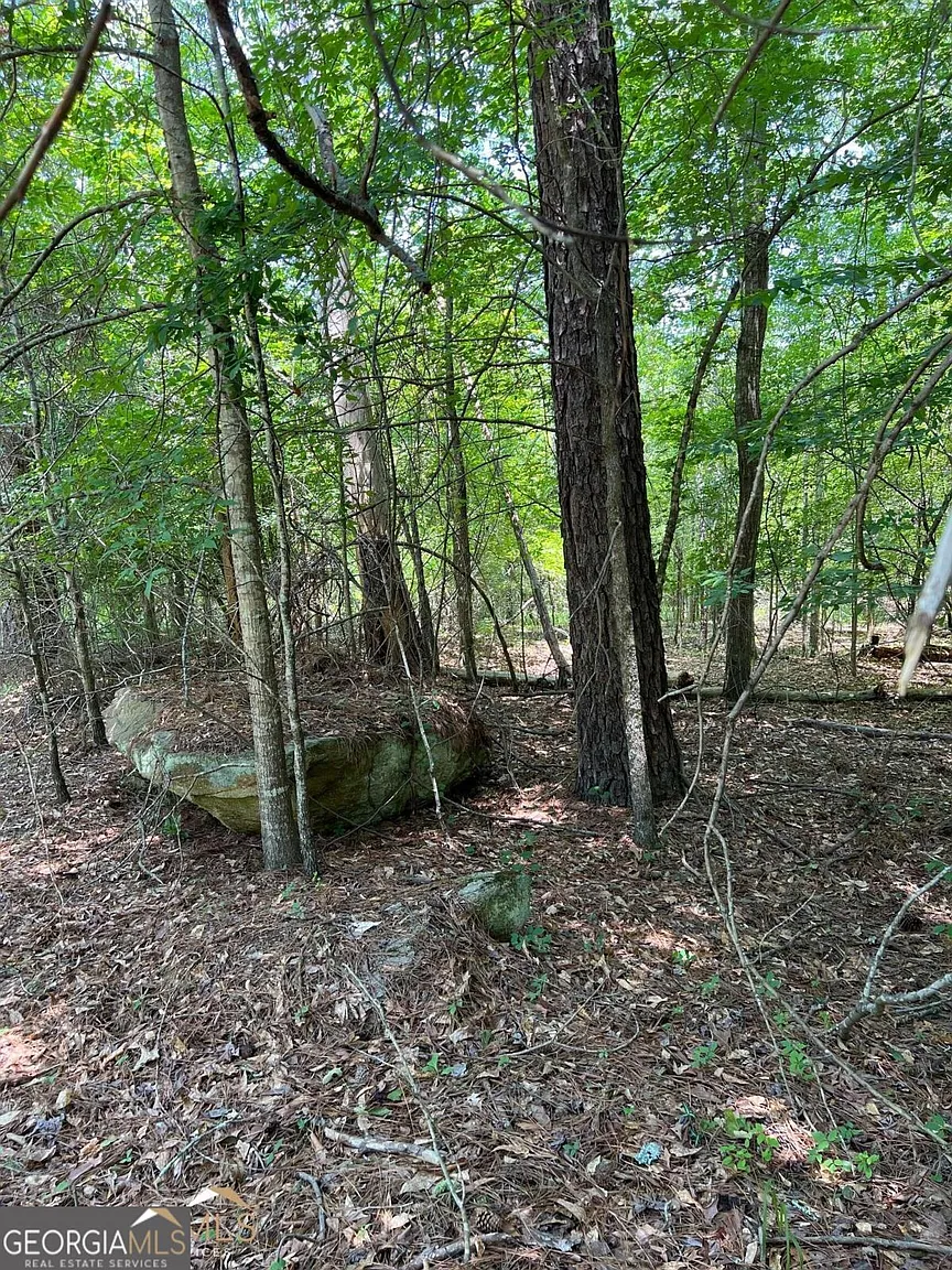 0 Crooked Creek Bay Rd photo 1