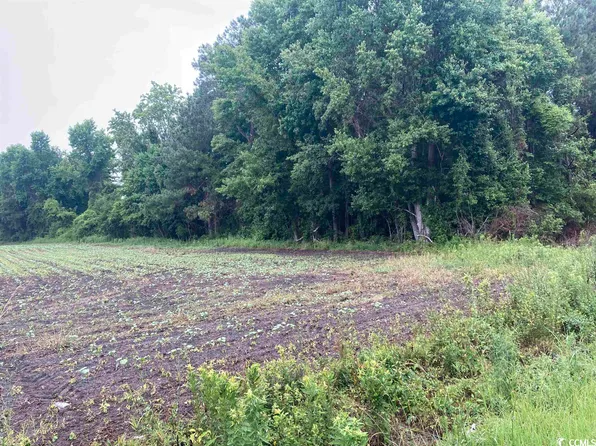 TBD Vox Hwy., Johnsonville, SC 29555