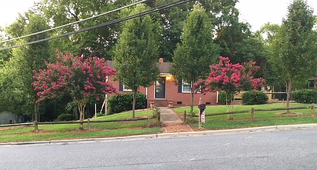 Surrounded by large trees