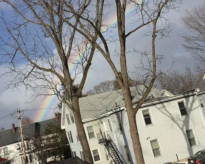 18 Maple St — Photo 10