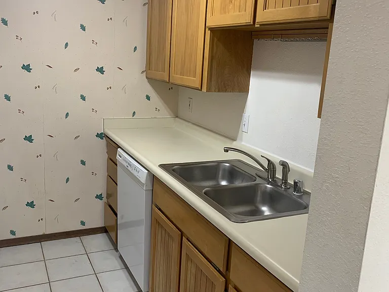 Kitchen sink and cabinets
