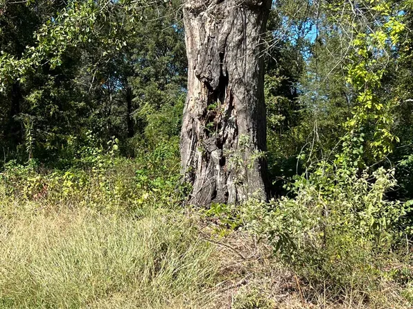 409 Glass St, Atlanta, TX 75551