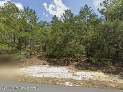 4393 W Cameo Ln, Citrus Springs, FL, 34433