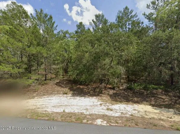 4393 W Cameo Ln, Citrus Springs, FL 34433