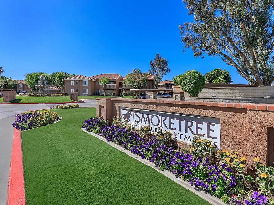 Smoketree