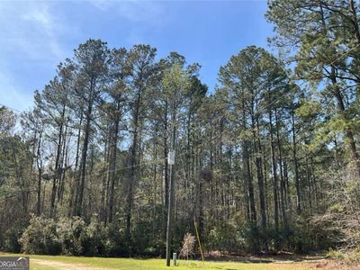 1258 Clyo Kildare Rd, Clyo, GA, 31303