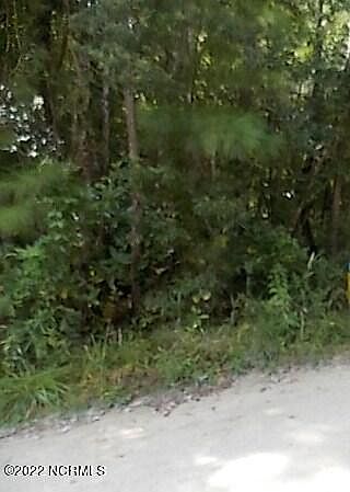 2nd image of Tbd Old Tar Landing Road