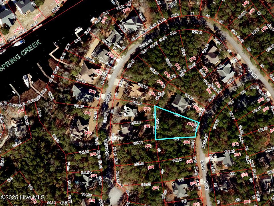 1st image of 911 Davit Lane