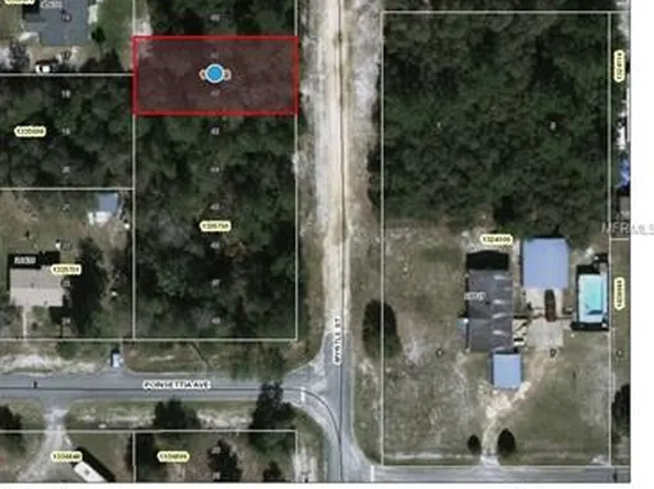 Mrytle St, Paisley, FL 32767