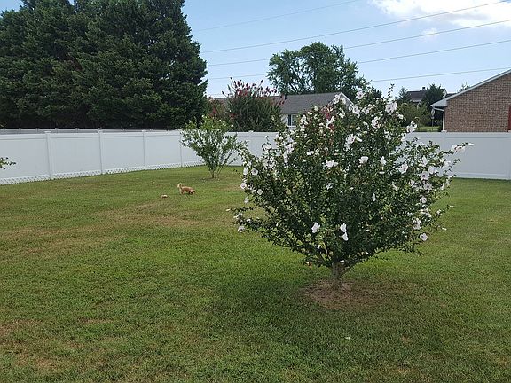 5th image of 34228 Dogwood Dr