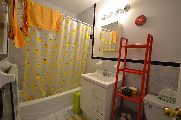 Rented by Bold New York | media 14