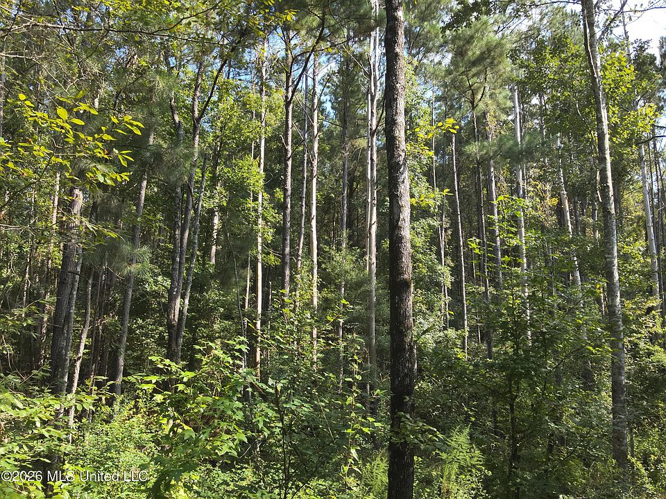 1st image of Jones Rd