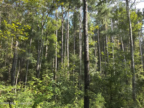 Jones Rd, Foxworth, MS 39483