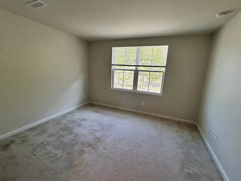 1629 Mountain Ash Ln — Photo 9
