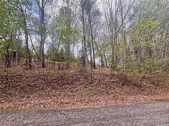 2nd image of TBD Timberline Dr.